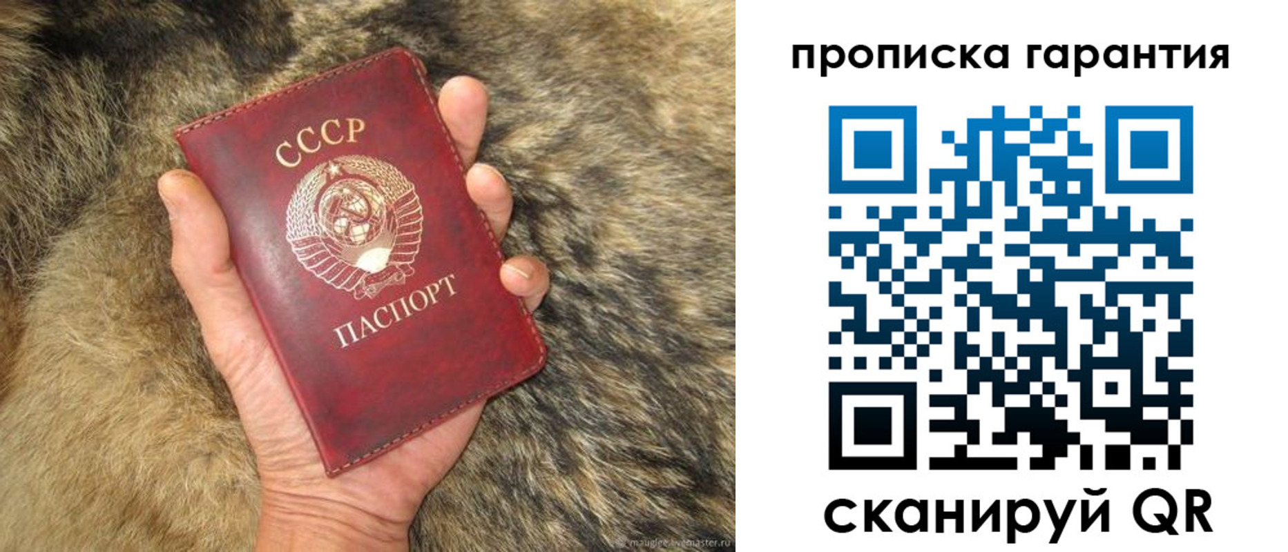 временная регистрация гарантия в Горняке